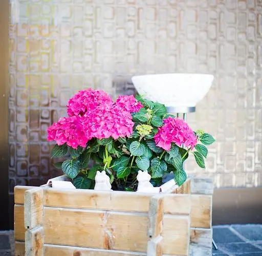 Charly Privatunterkunft Sölden